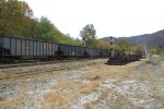 Line in of coal cars